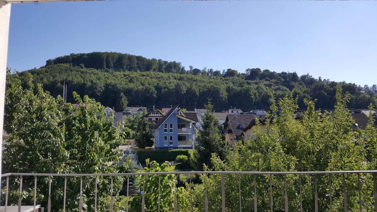 Ferienwohnungen Am Naturbad Lahr  Exterior foto